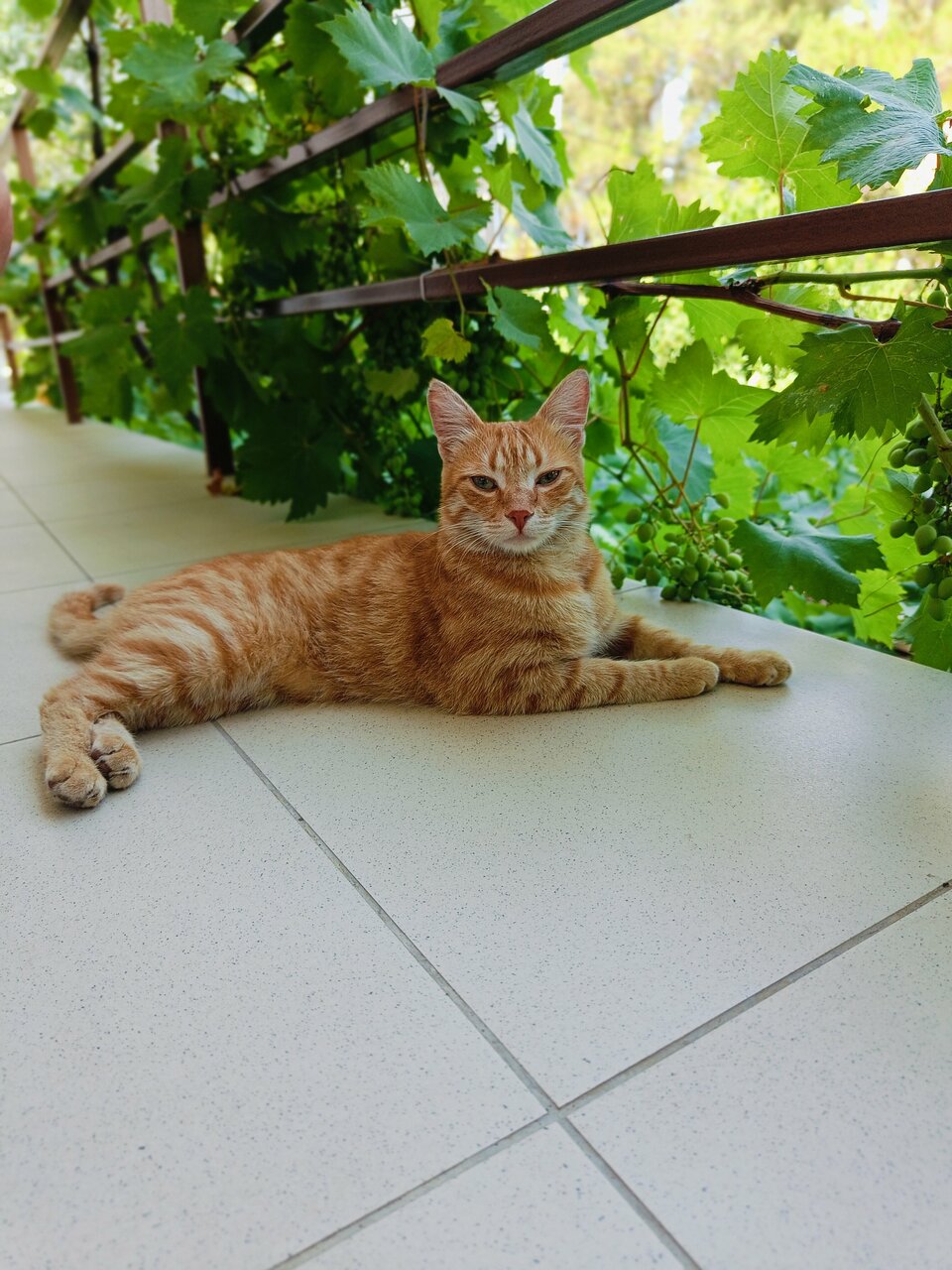 Гостиница Акварель Геленджик-32