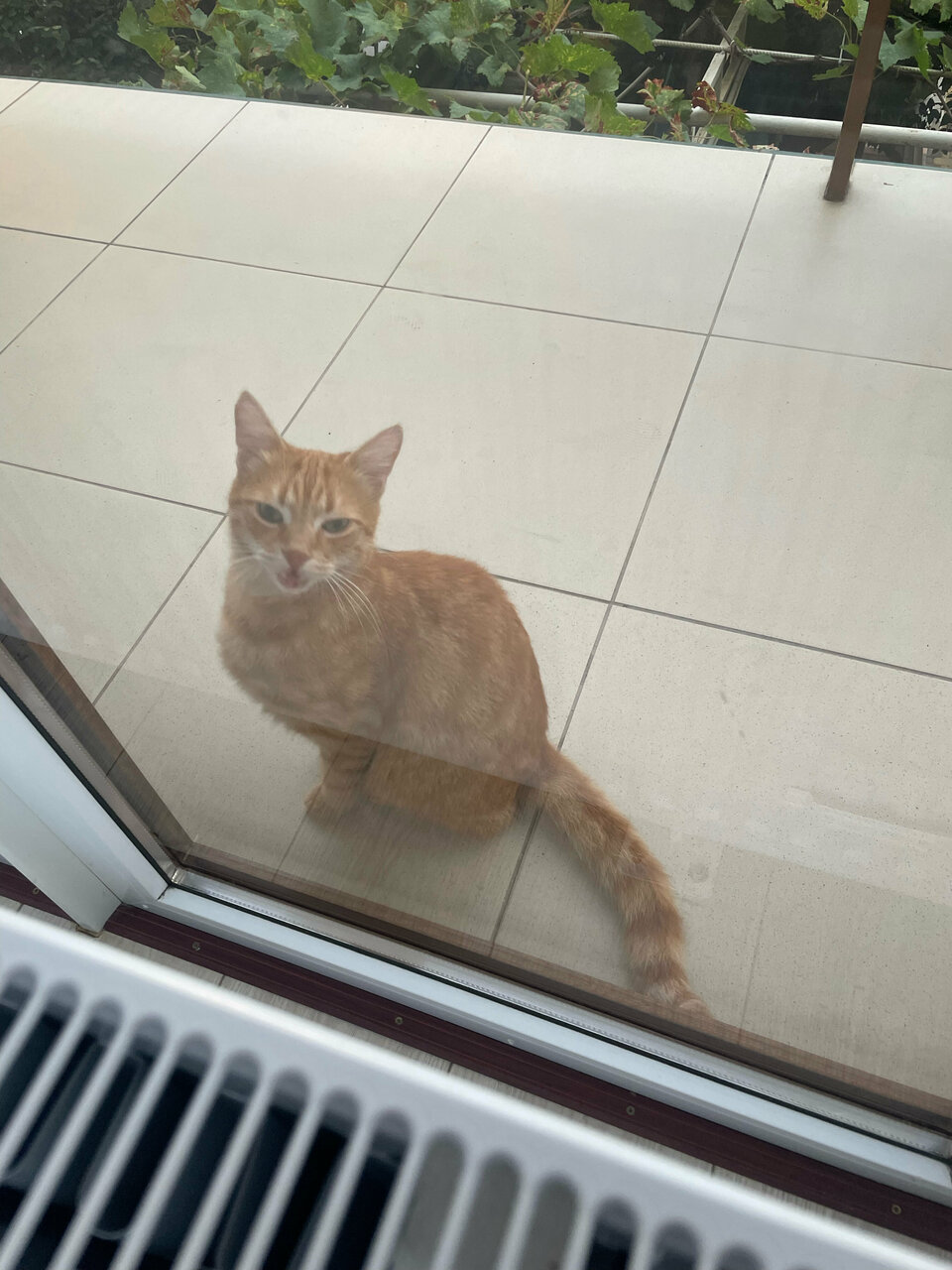 Гостиница Акварель Геленджик-58