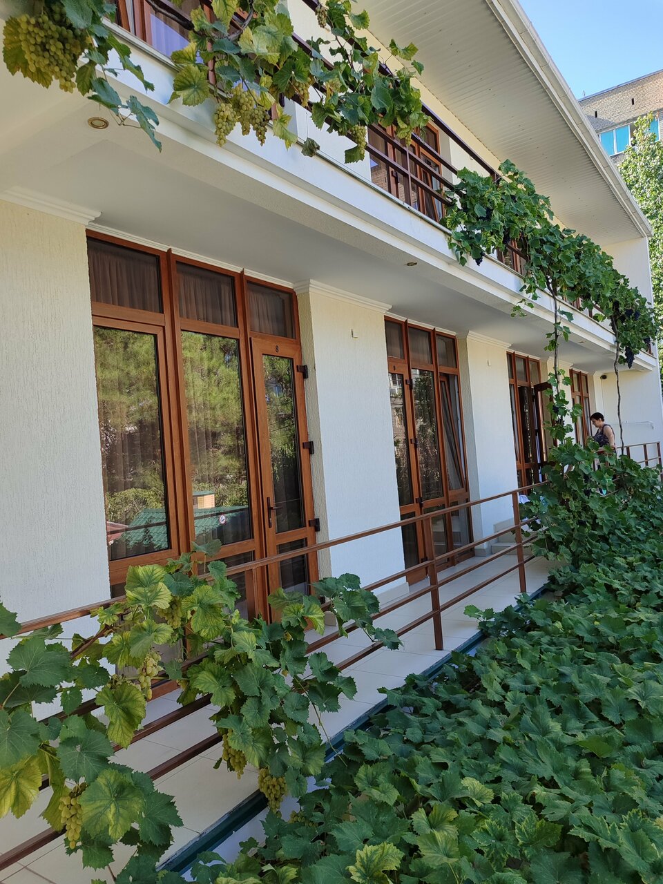 Гостиница Акварель Геленджик-36