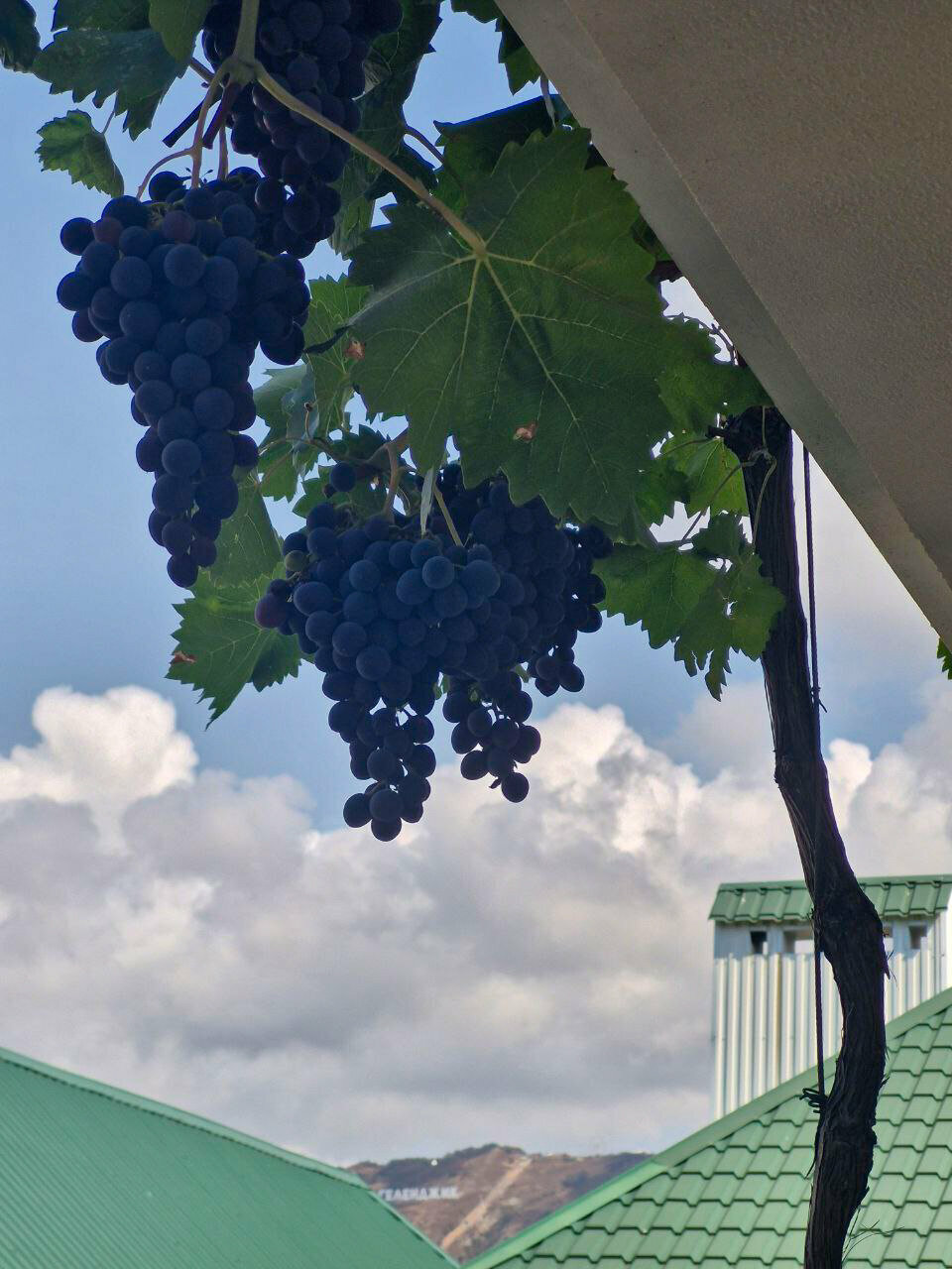 Гостиница Акварель Геленджик-42