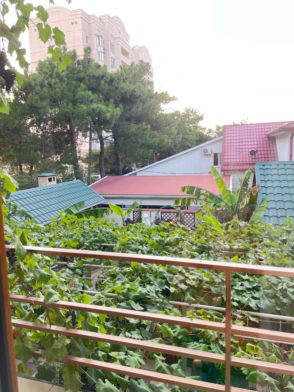 Гостиница Акварель Геленджик-54