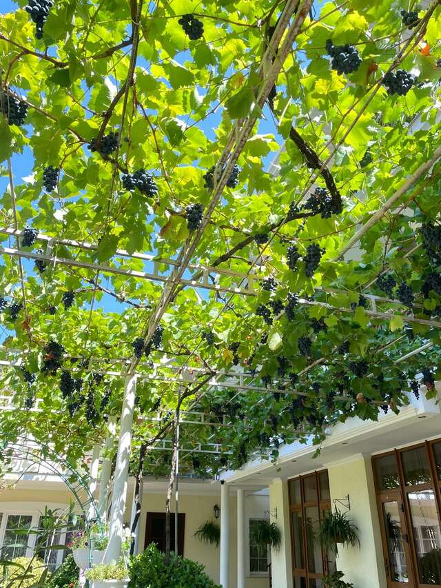 Гостиница Акварель Геленджик-29