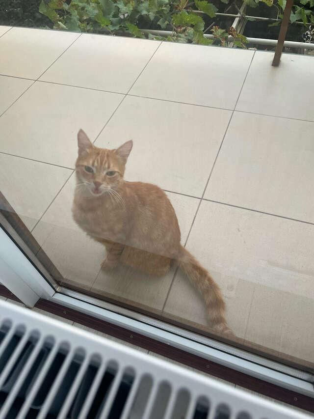 Гостиница Акварель Геленджик-57