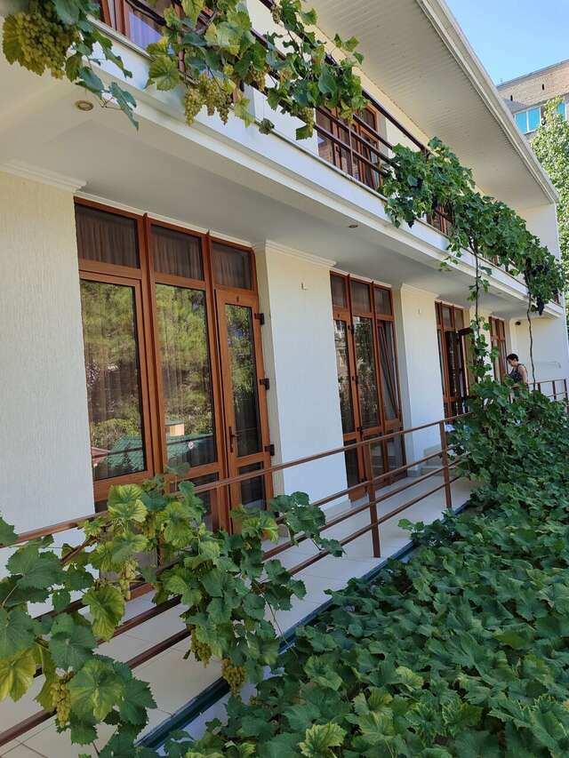 Гостиница Акварель Геленджик-35