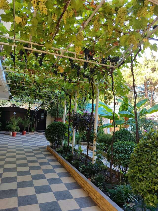 Гостиница Акварель Геленджик-58