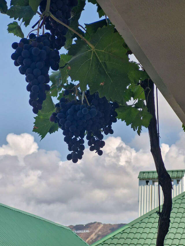 Гостиница Акварель Геленджик-41