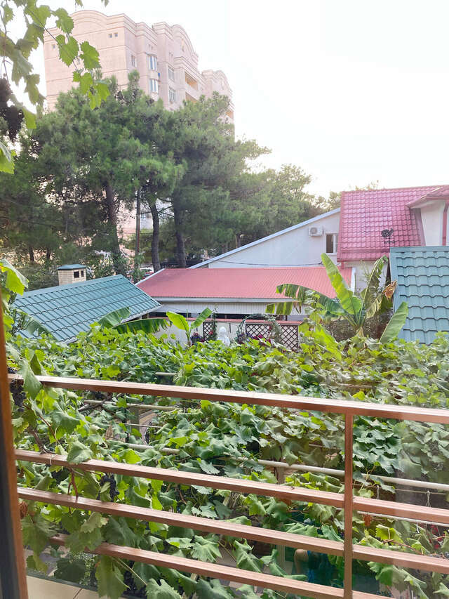 Гостиница Акварель Геленджик-53