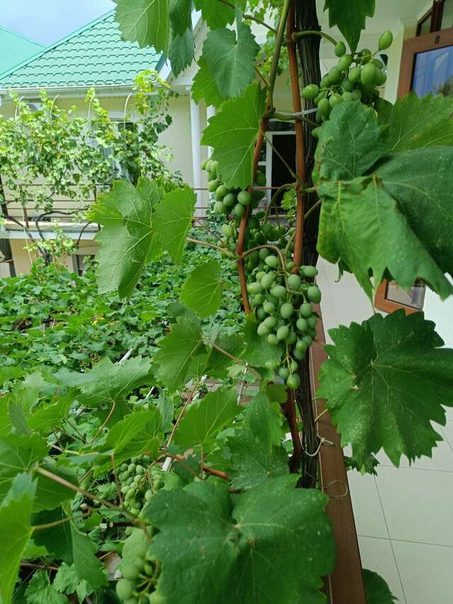 Гостиница Акварель Геленджик-59